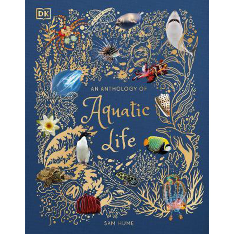 现货 奇妙海底世界 自然科普 艺术插画绘本 英文原版 An Anthology of Aquatic Life