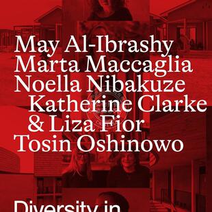 2023 年建筑多样性 Divia 奖 英文原版 艺术画册 Divia Award 2023 Diversity in Architecture