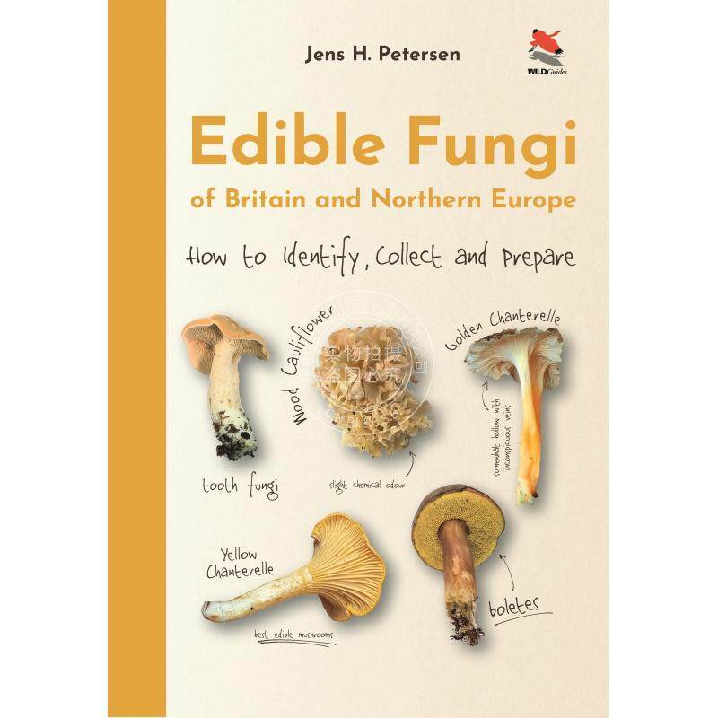 Edible Fungi of Britain and Northern Europe英国和北欧的食用菌:如何鉴定、收集和制备   普林斯顿