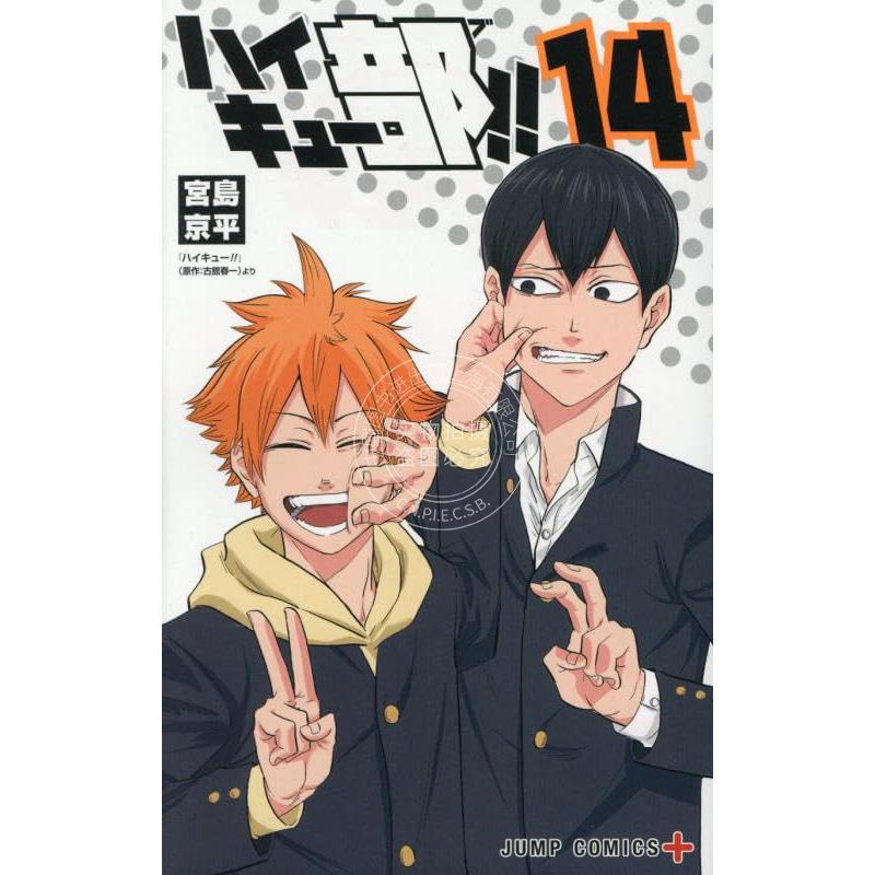 进口日文 漫画 排球少年 排球部!! 第14集 完结篇 官方衍生 古馆春一原作 宫岛京平 集英社 ハイキュー部！！