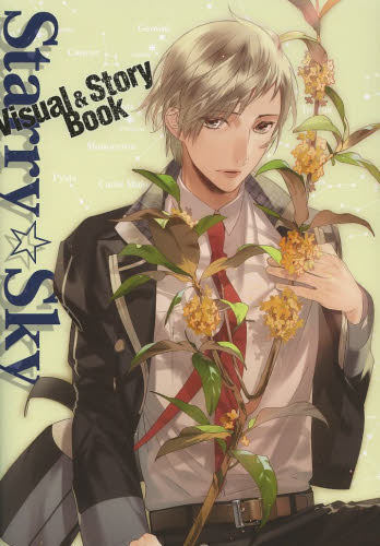 现货 日文原版 星座彼氏 小说 Starry Sky Visual&Story Book