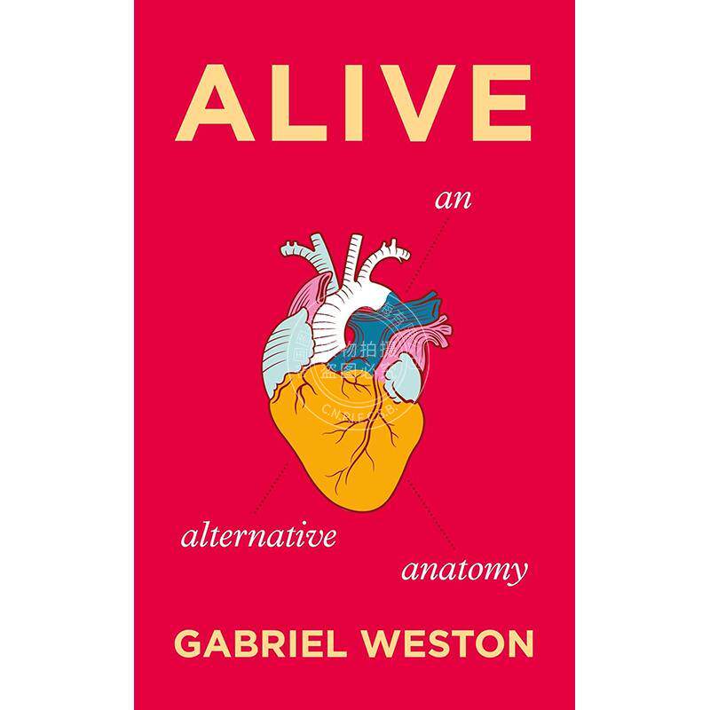 现货 活着 加布里埃尔·韦斯顿 Gabriel Weston 解剖学 英文原版 Alive