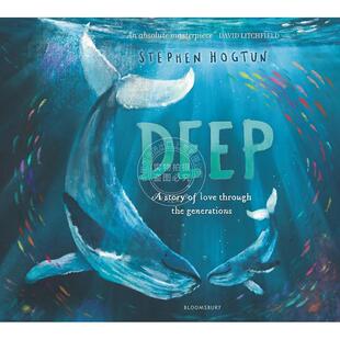 Stephen Hogtun 英文原版 现货 儿童绘本故事书 DEEP 5岁 深海