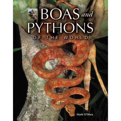 按需印刷 Boas and Pythons of the World世界上的蟒蛇与蟒蛇类动物 英文原版 普林斯顿出版社