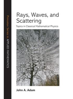 【预售 按需印刷】 Rays  Waves  and Scattering射线、波与散射：古典数学中的主题 英文原版普林斯顿
