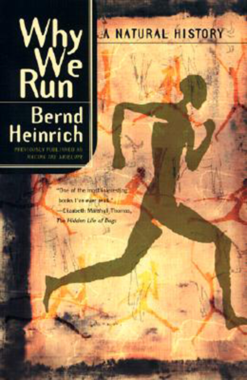 预售 按需印刷  Why We Run  A Natural History 我们为什么跑步:一段自然史 Bernd Heinrich 英文原版