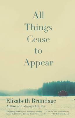 现货 万物停止出现 All Things Cease to Appear 网飞电影小说原著  所见所闻 Elizabeth Brundage 英文原版 惊悚悬疑小说