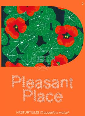 怡人之所2：金莲花 园艺设计 英文原版 Pleasant Place 2: Nasturtiums