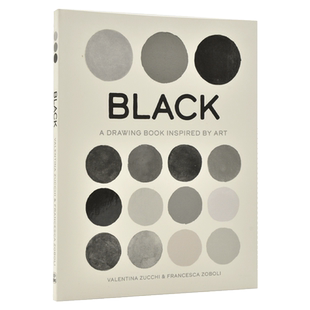 黑色:图画启发艺术 英文原版 Black : A Drawing Book Inspired by Art 瓦伦蒂娜·祖奇 艺术色彩画集 画册