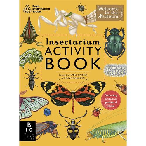 现货 欢迎来到博物馆系列 昆虫活动手册 儿童科普绘本 Big Picture Press出版社 英文原版 Insectarium Activity Book 5-9岁