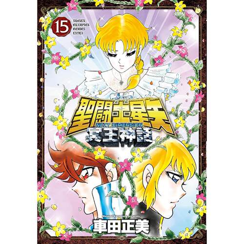 进口日文 漫画 圣斗士星矢 冥王神话 聖闘士星矢 NEXT DIMENSION 冥王神話 15