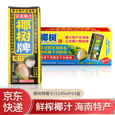 椰树牌椰汁 蛋白质饮料 海南椰子汁椰奶 年货节过年送礼送长辈