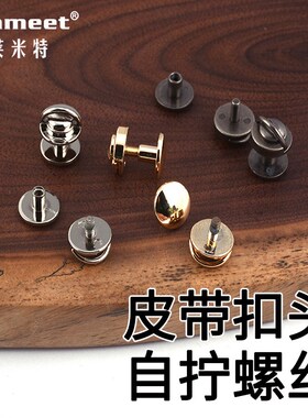 皮带扣头螺丝自拧款式银色