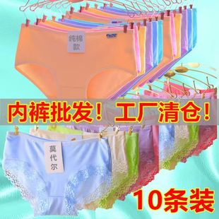 女200斤胖mm 超值10条装 内裤 女纯棉三角裤 莫代尔蕾丝中腰大码