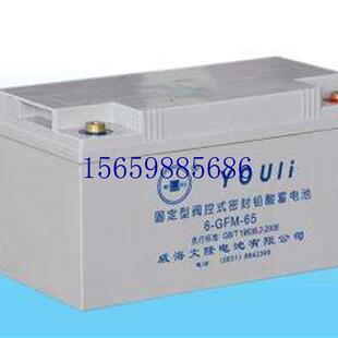 12V38AH 议价免维护蓄电池6GFM38 UPS EPS 直流屏质现货议价