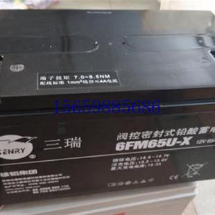 UPS电源EPS直流屏现货议价 12V65aH 议价SENRY三瑞蓄电池6FM65U