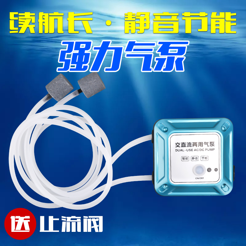 交直流两用充电便携式冲氧泵