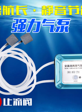 交直流两用充电便携式冲氧泵