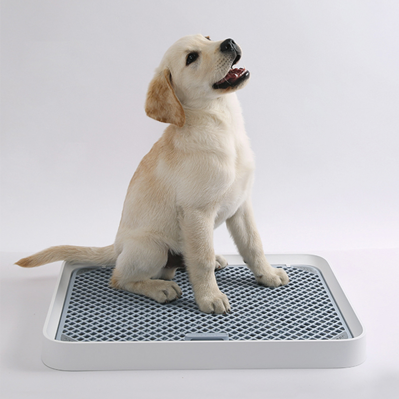小佩定点训导狗狗厕所泰迪狗中小型犬用品狗尿尿盆冲水易清洗