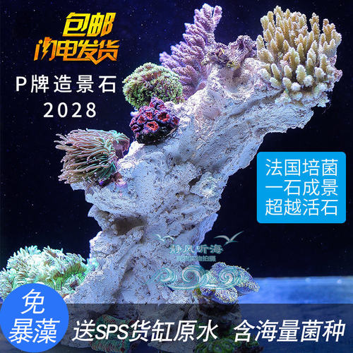 P牌培菌造景石纽扣石
