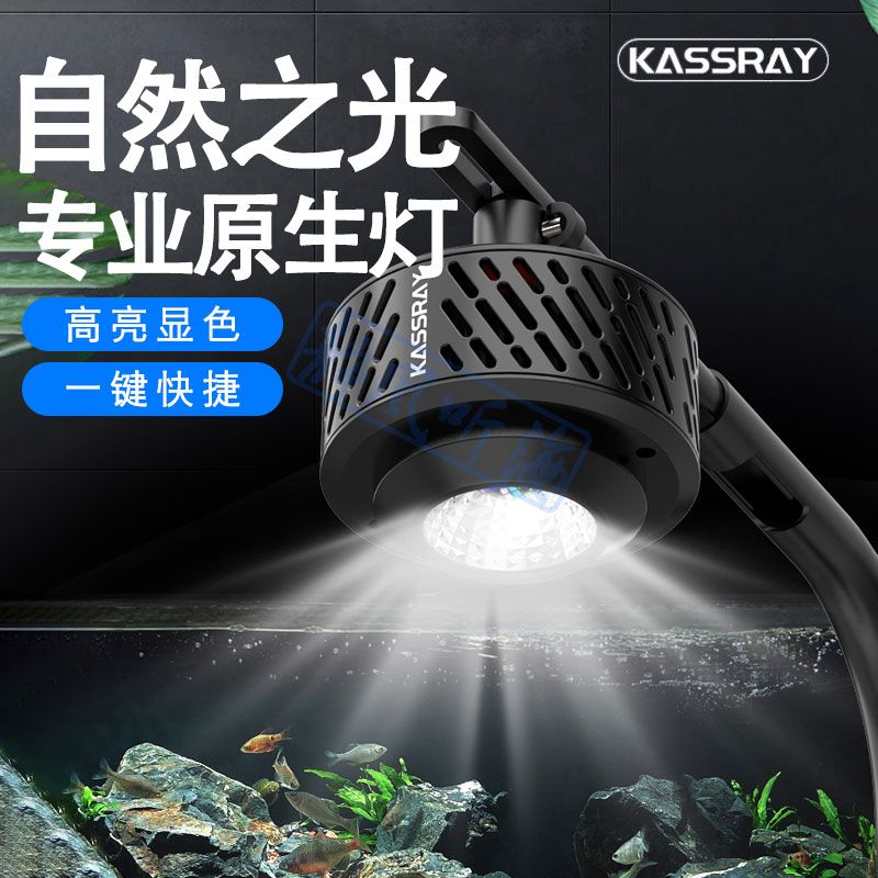 溪流缸原生鱼专用灯手机远程控制