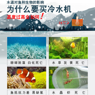 压缩机制冷制冷省水冷水机海机淡水海水冷水族箱电奥凌利鱼缸降温