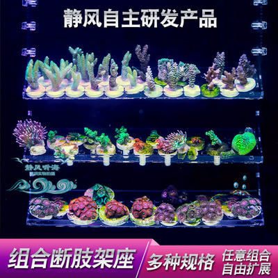 水族亚克力珊瑚断支架