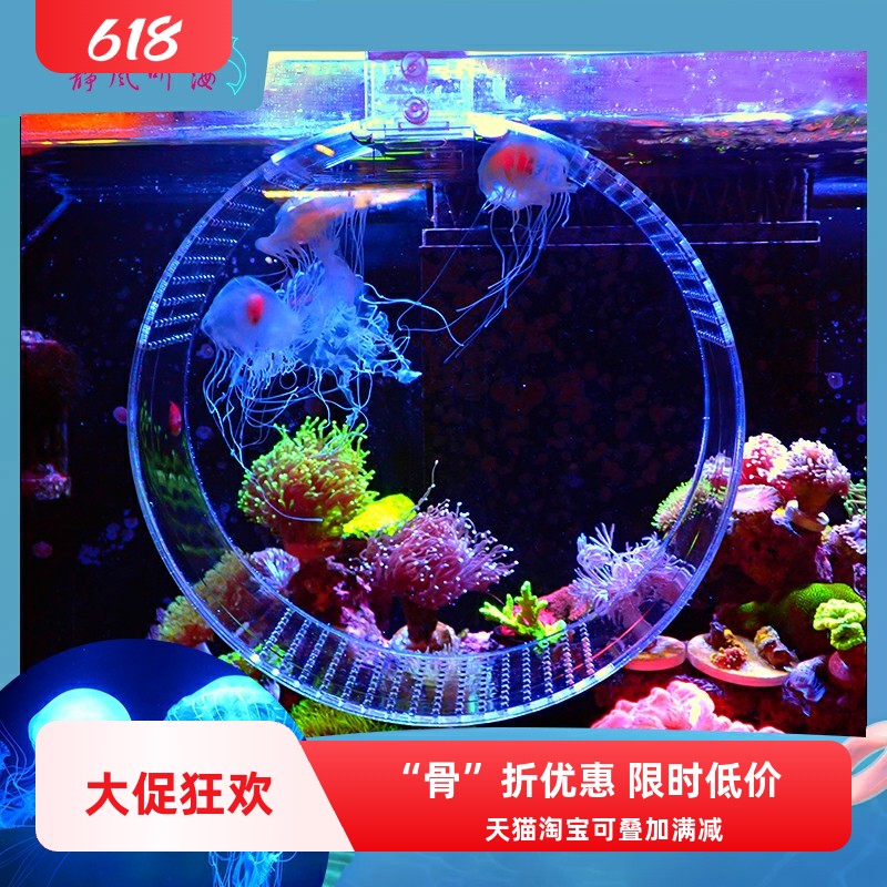 静风听海入门水母缸观赏水母海缸