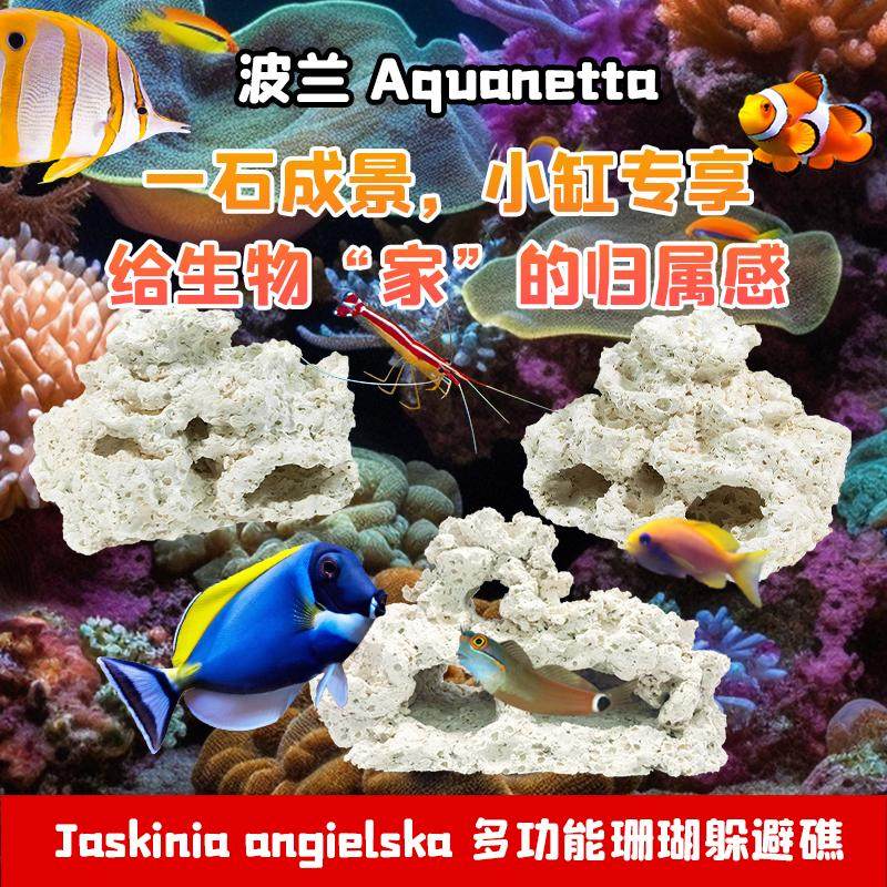 造景装饰波兰Aquanetta珊瑚躲避