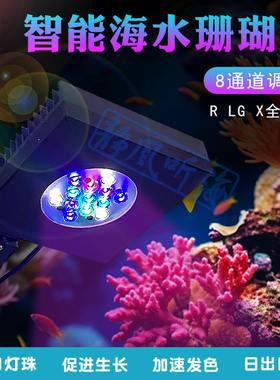 智控海洋FMR60 R80 LG60 LG40 LG40S X240 X120珊瑚鱼缸灯LED蓝牙
