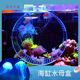 水母观赏盒  缸内水母缸  水母专用隔离盒 海缸混养水母神器 活体