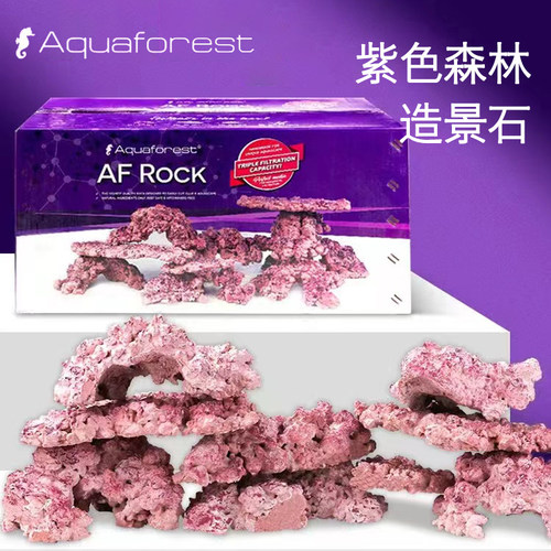 紫色森林海缸造景石培菌石