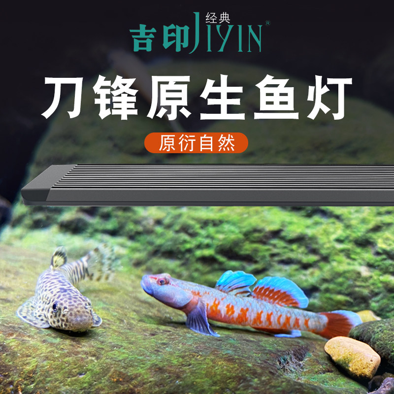 吉印原生专业爆藻防水led鱼缸图片