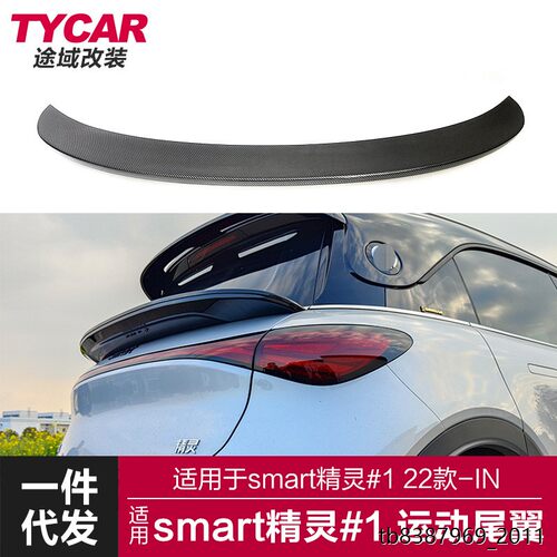 适用于smart精灵尾翼#1改