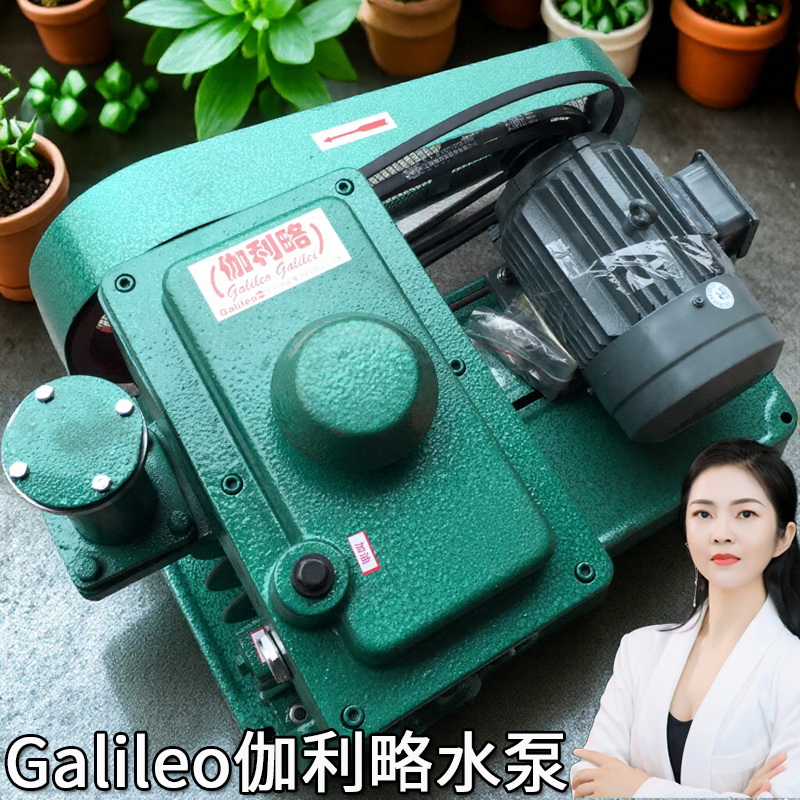 55375kw8470lx150型旋片南京片式升系列双级极旋皮带真空泵价格泵