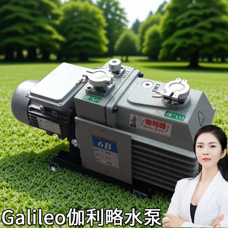 是小型抽吸附工程二次2xz8大连电厂真空机械泵组南京直联旋片泵