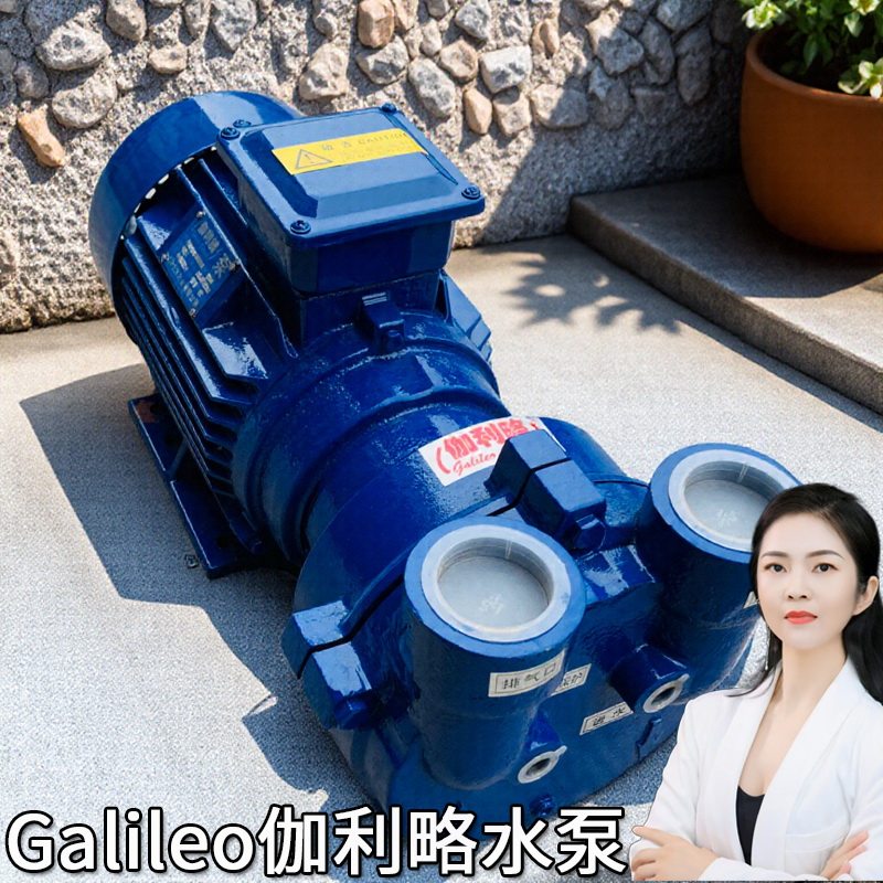 2bve进口小大型负压系列液循环淄博片爪立式真空气自吸泵专用抽泵