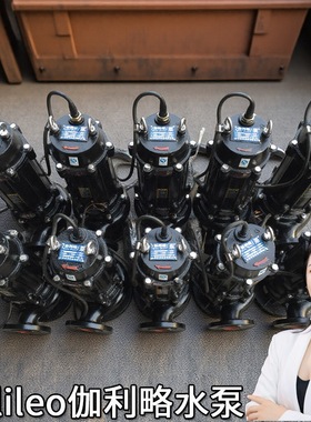一寸腰形规格吸式4kw抽200qw300711大流量潜污水泵排污电泵