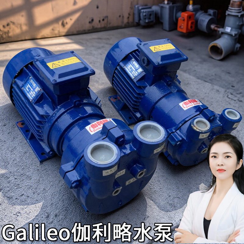 2bv63155161伽利略耐腐蚀水环式手动负压二级真空泵制冷机药泵