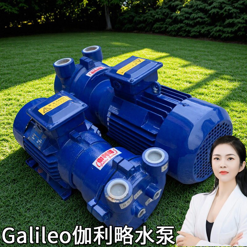 进口用淄博小型电动负压片式2bv系列液环抽真空气泵