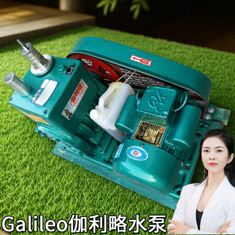 型旋片双级2x154308702a30a70a8a系列南京片式升真空泵价格泵