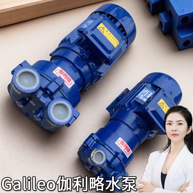 化工叶片2bva盘锦水片式环真空机械气泵铸造建筑小型抽吸双级泵