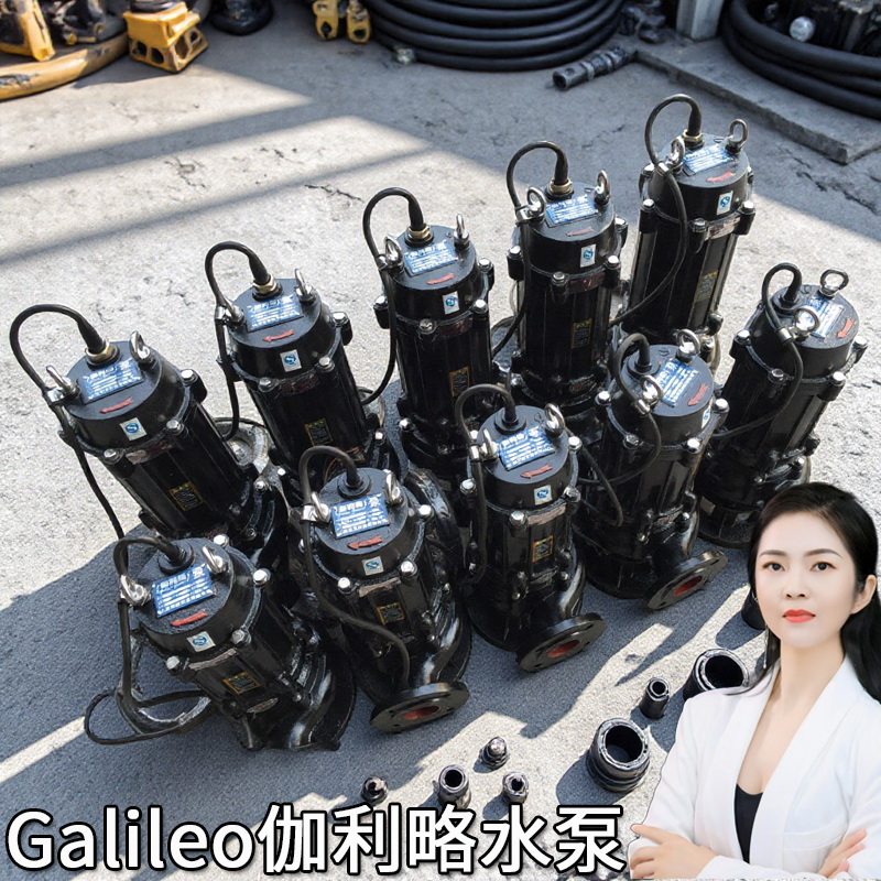 qwq上海伽利略三相无堵塞移动式的天津大流量热水提升排水泵