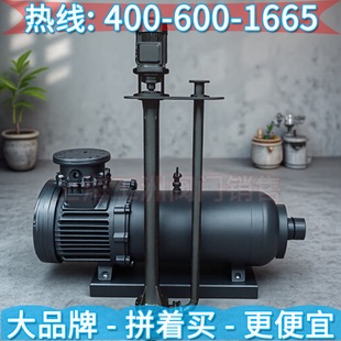 广州白云泵业股份有限公司 白云泵业集团BYW液下排污泵