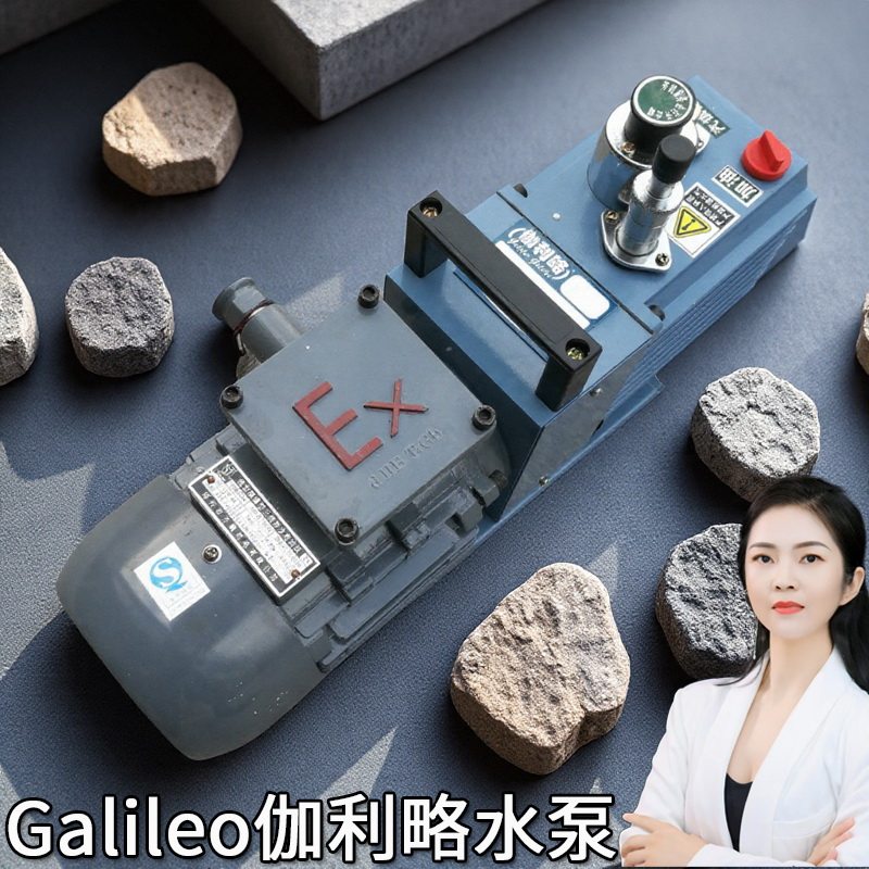 2xz系列负压力双级上海进口防爆高小微型旋分子手动抽真空气泵