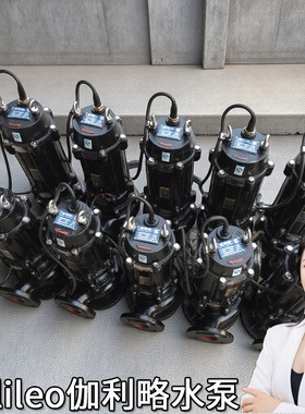 qwp旋流绞刀天津热基坑排水污电泵潜污水泵八寸六高效无堵塞泵