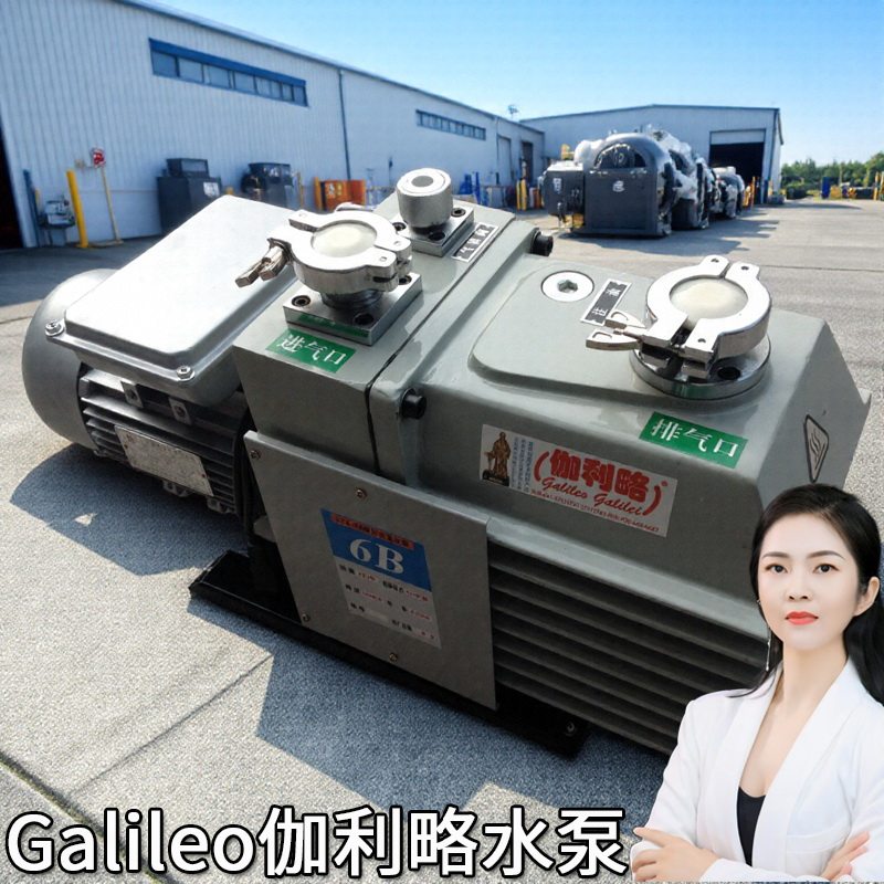 2xz8系列分子双多级活塞上海离心制冷干式负压力广东莞进口防爆泵