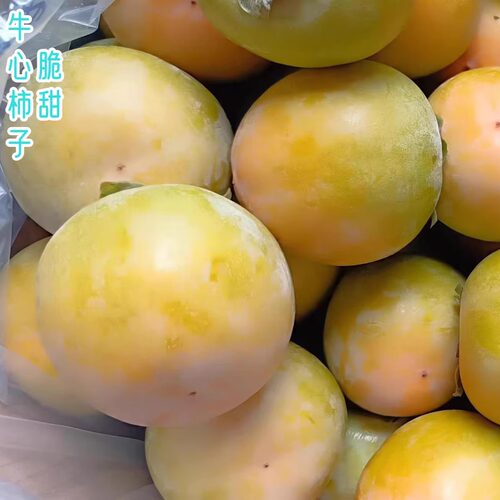 牛心柿子脆甜吊饼柿石灰水泡去涩