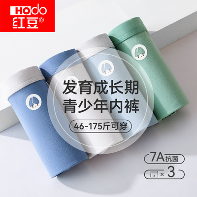 红豆青少年纯棉抗菌平角内裤