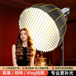 300W直播补光灯主播直播间人像美颜发丝拍摄打光专用灯光室内服装珠宝美食拍照COB摄影灯影棚深抛柔光箱格栅
